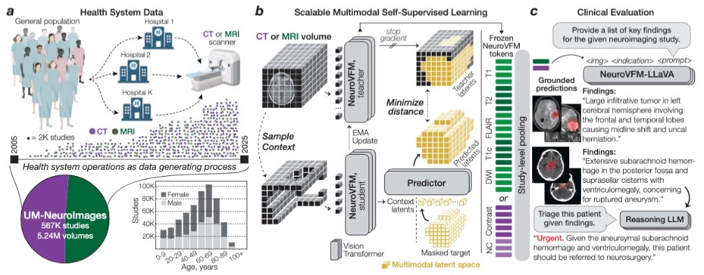 Overview of health system-scale neuroimaging data, NeuroVFM self-supervised pretraining, and clinical evaluation with grounded findings and triage.